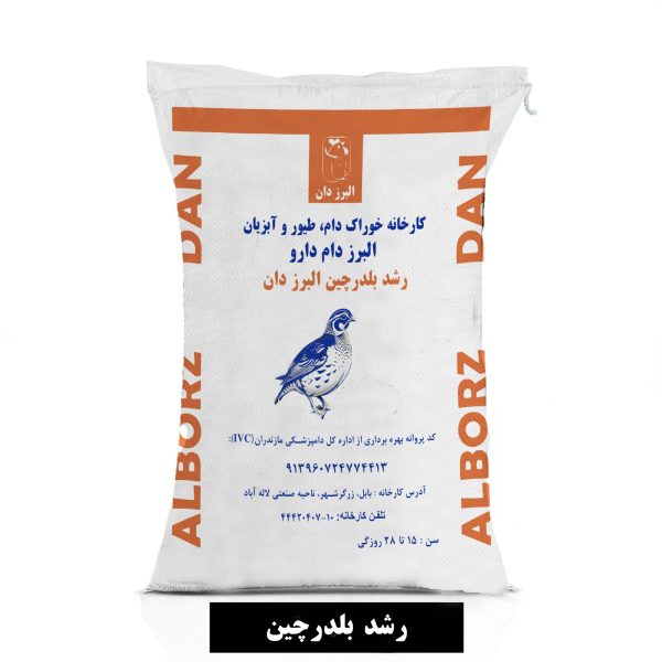 رشد بلدرچین