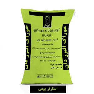 استارتر بومی