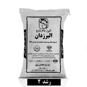 رشد دو