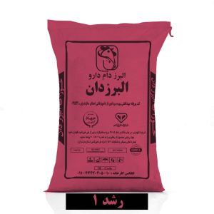 رشد یک