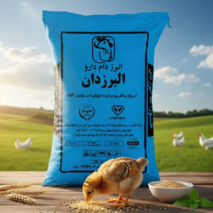 استارتر