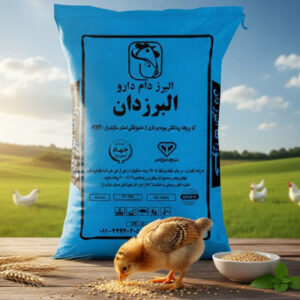 استارتر