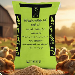 استارتر بومی