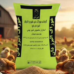 استارتر بومی