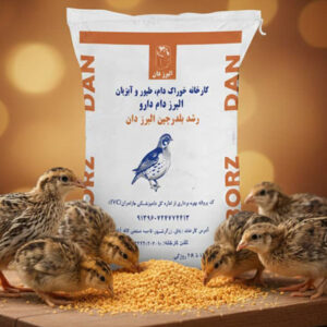 رشد بلدرچین