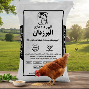رشد دو