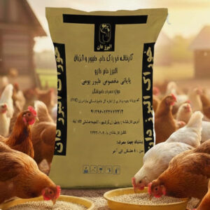 پایانی بومی